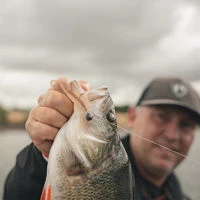 Fox Rage Scent Shads